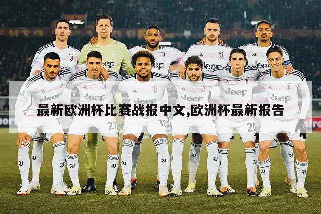 最新欧洲杯比赛战报中文,欧洲杯最新报告