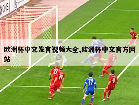 欧洲杯中文发言视频大全,欧洲杯中文官方网站